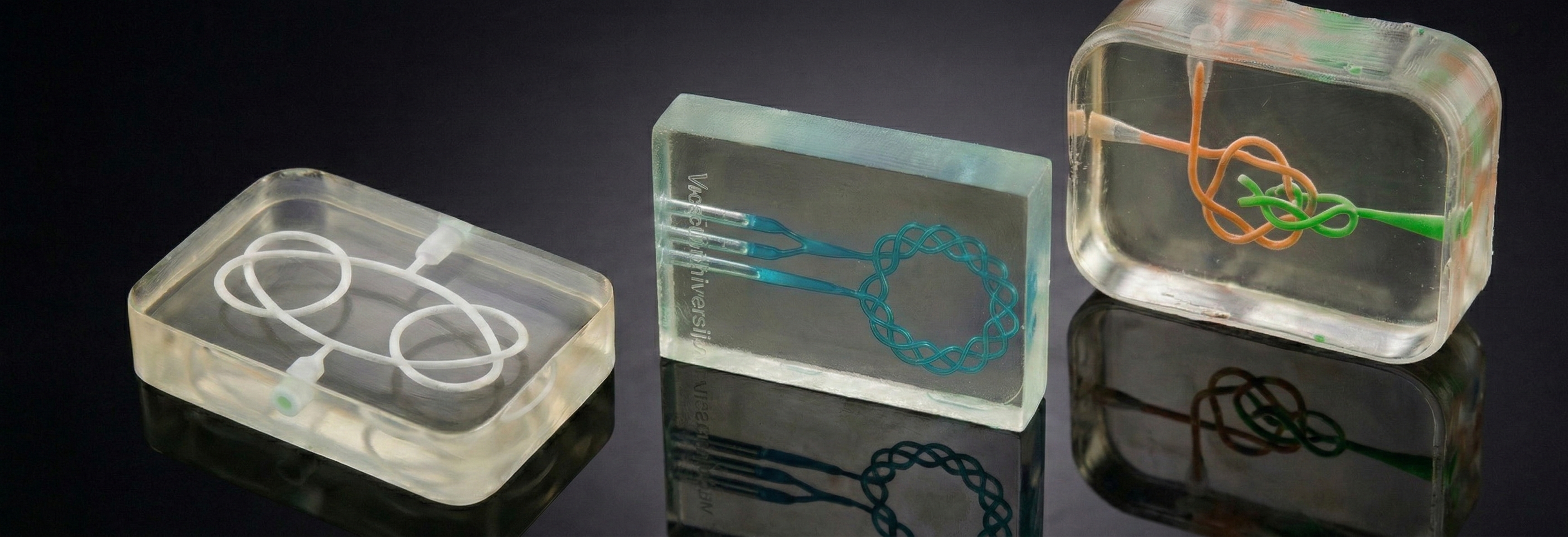 3D Bioprinting visualization